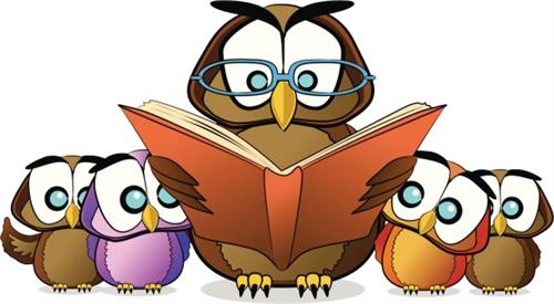 owl owl
